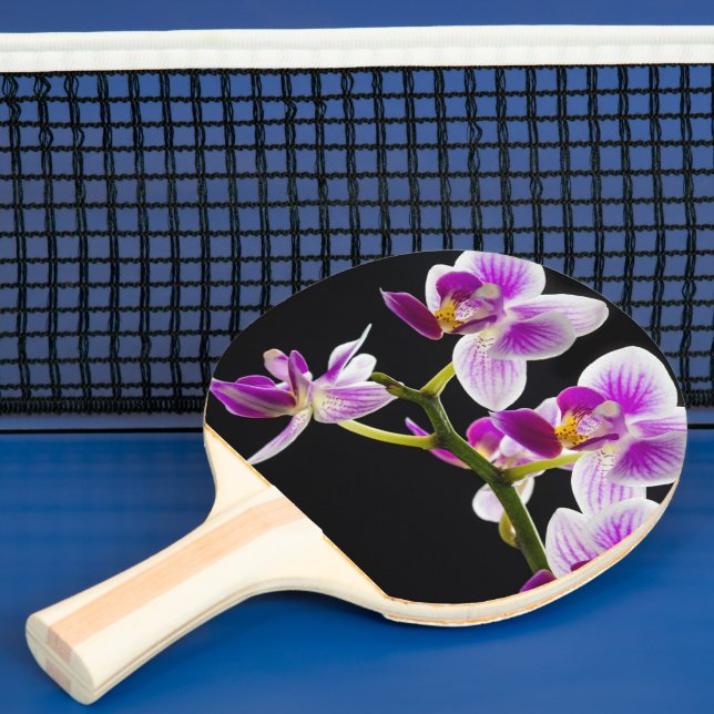 Raquete De Ping Pong Orquídea branca e roxa (Insitu)