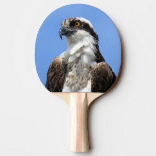 Raquete De Ping Pong Osprey - Pássaro - Ping Pong Paddle