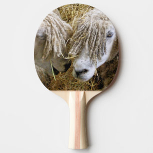 RAQUETE DE PING PONG OVINO