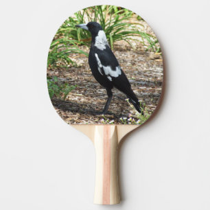 Raquete De Ping Pong Pá de Pong do sibilo do Magpie australiano