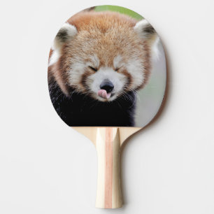 Raquete De Ping Pong pá pingue-pongue Photo red panda, animais.