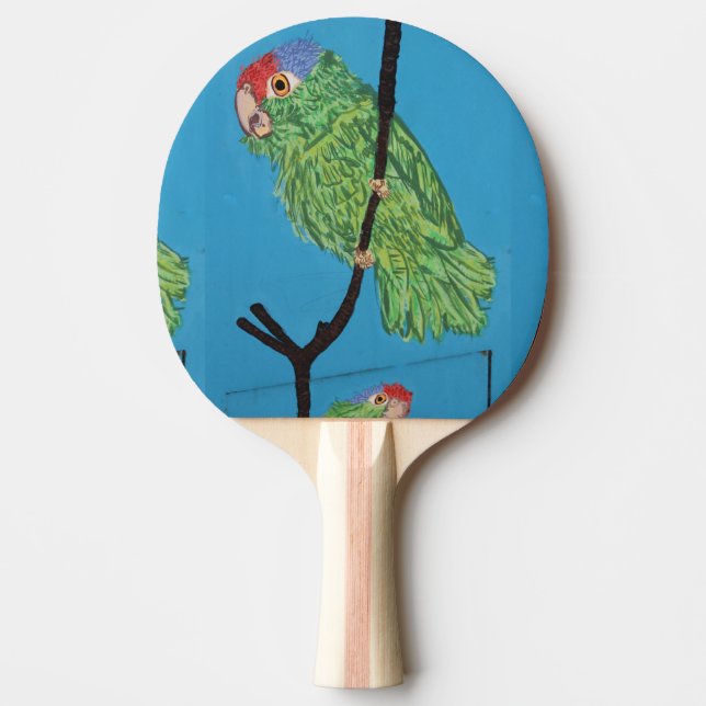 Raquete De Ping Pong pá pingue-pongue verde (Frente)