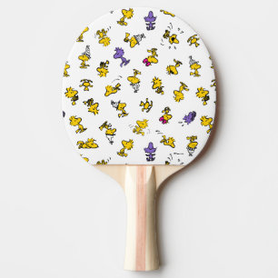 Raquete De Ping Pong Padrão de diversão em Woodstock