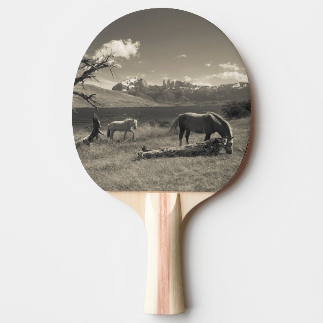 Raquete De Ping Pong Paisagem com cavalos (Frente)