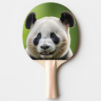Raquete De Ping Pong Pala de Ping Pong Oso Panda Tierno