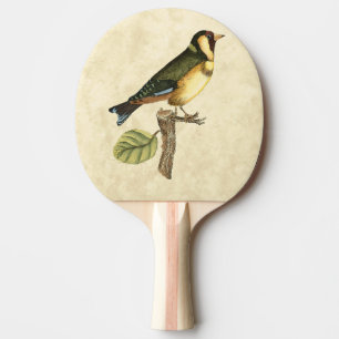 Raquete De Ping Pong Pássaro Amarelo e Verde Emperrado em um pequeno g