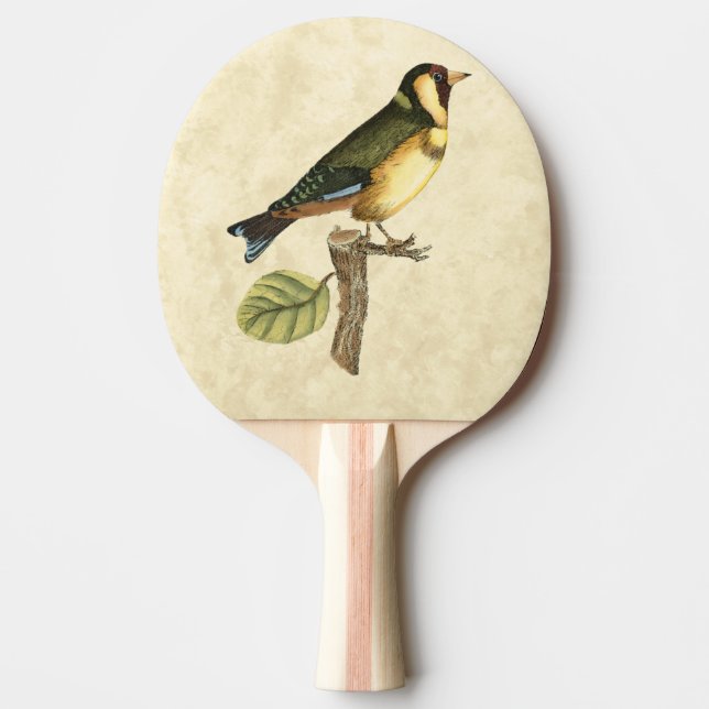 Raquete De Ping Pong Pássaro Amarelo e Verde Empoleirado em um pequeno  (Frente)