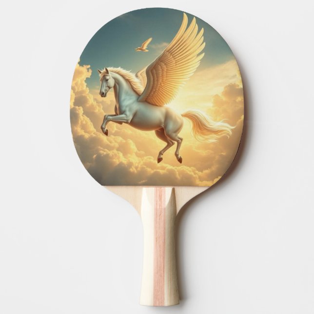 Raquete De Ping Pong Pegasus (Frente)