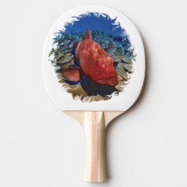 Raquete De Ping Pong Peixe Agrupado Em Bolas De Golfe De Coral Marcador