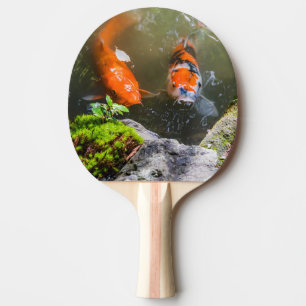 Raquete De Ping Pong Peixe Koi numa lagoa
