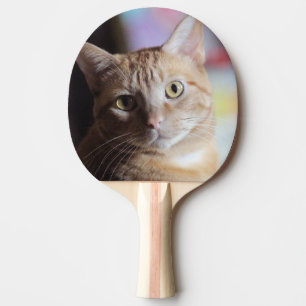 Raquete De Ping Pong Penny