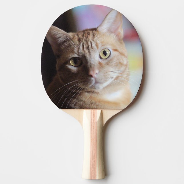 Raquete De Ping Pong Penny (Frente)