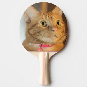Raquete De Ping Pong Penny bonito
