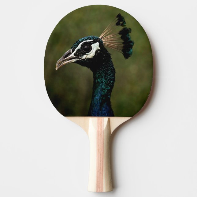 Raquete De Ping Pong Perfil de Peacock (Frente)