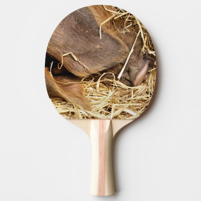RAQUETE DE PING PONG PIG CUTO (Frente)