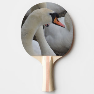 Raquete De Ping Pong Pino do pino do Cisne Branco, Parte de trás da bo