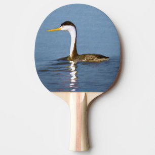 Raquete De Ping Pong Pintura em Grebe de Clark - Arte de Pássaro Origi