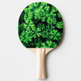 Raquete De Ping Pong Planta de bobina