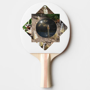 Raquete De Ping Pong Poliescopio de suricata, 