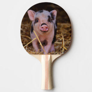 Raquete De Ping Pong Porco bonito doce
