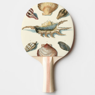 Raquete De Ping Pong Praia da Shell Rico