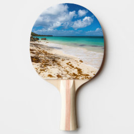 Raquete De Ping Pong praia de Anse Canot em Marie-Galante