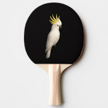 Raquete de ping pong preta 4 Luxe, Cacatua-crestad
