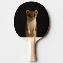 Raquete de ping pong preta 4 Luxe, Doninha Elegant