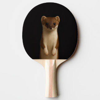Raquete de ping pong preta 4 Luxe, Doninha Elegant
