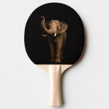 Raquete de ping pong preta 4 Luxe, Elefante Podero