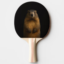 Raquete de ping pong preta 4 Luxe, Marmota Fofa