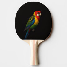 Raquete de ping pong preta 4 Luxe, Rosella Orienta