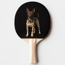 Raquete de ping pong preta 4 Luxe, Terrier sem pel