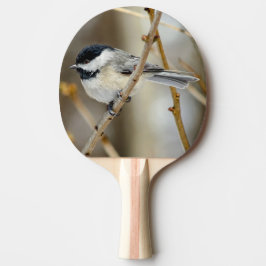 Raquete De Ping Pong Preto Pino Pino Pino Pino Ping Pickadee