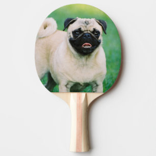 Raquete De Ping Pong pug-30.jpg