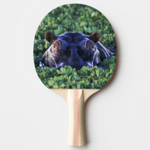 Raquete De Ping Pong Quênia, Reserva Nacional Masai Mara.