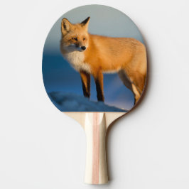 Raquete De Ping Pong Raposa Marrom