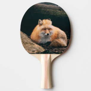 Raquete De Ping Pong Raposa Vermelha Dormindo
