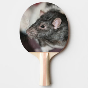 Raquete De Ping Pong Rato