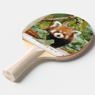 Raquete De Ping Pong Red Panda