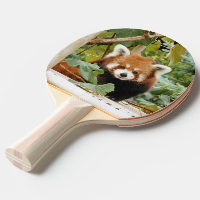 Raquete De Ping Pong Red Panda (Verso inclinado)