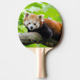 Raquete De Ping Pong Red Panda