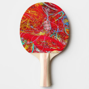 Raquete De Ping Pong Redes de pesca coloridas