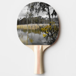 Raquete De Ping Pong Reflexões Por Baixo Do Céu Da Cinza