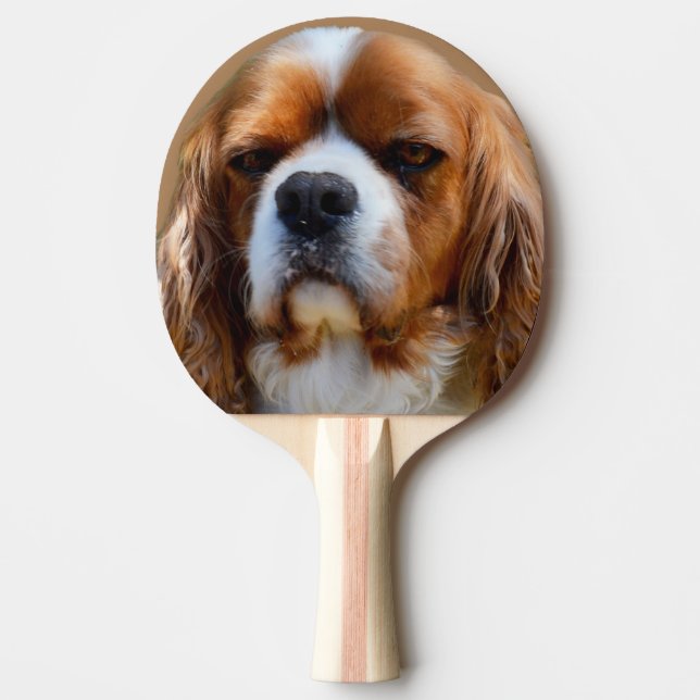 Raquete De Ping Pong Rei Charles Cavalier Spaniel Face, (Frente)