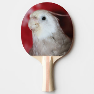 Raquete De Ping Pong Réplicas