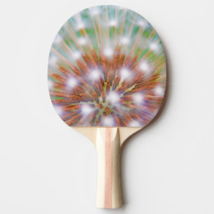 Raquete De Ping Pong Resumo da cabeça da semente de dente-de-leão