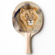 Retrato animal selvagem majestoso de leão