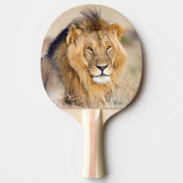 Raquete De Ping Pong Retrato animal selvagem majestoso de leão