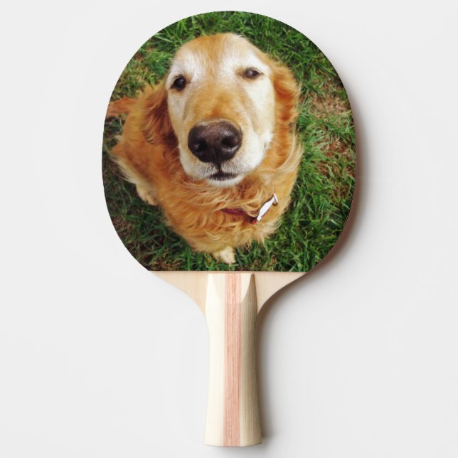Raquete De Ping Pong Retriever de ouro (Frente)